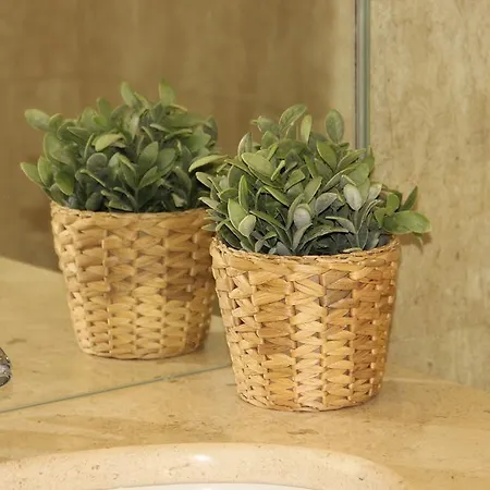 Apartamento Tasty Flat - Graca